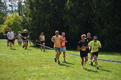 54: 3-Chaplin_s_world-019