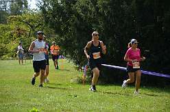 65: 3-Chaplin_s_world-030